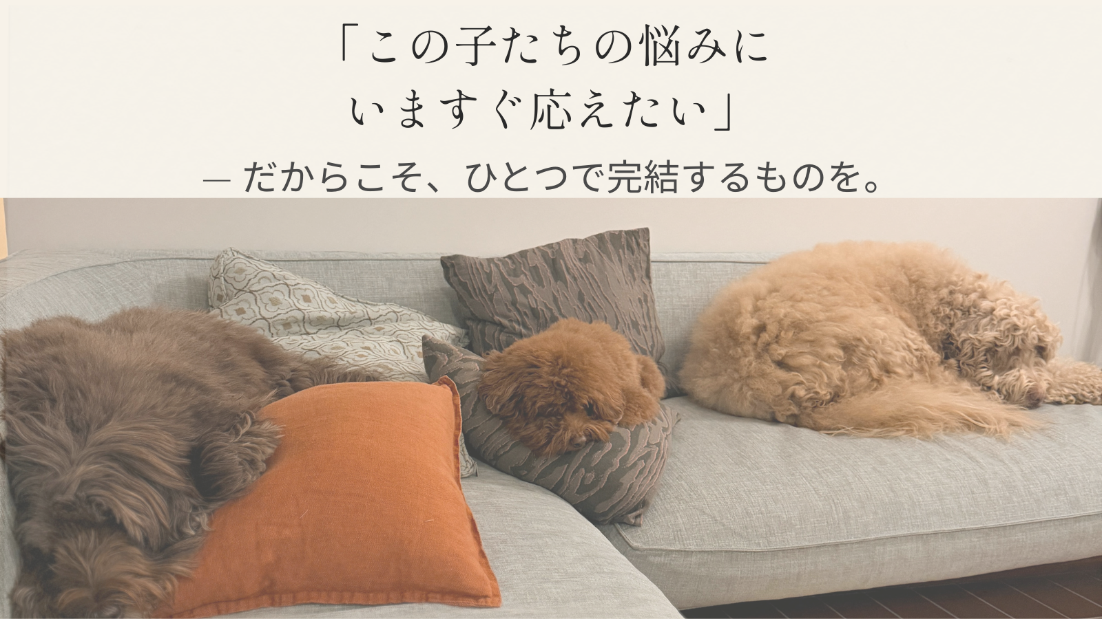 「DEEP SIALIC のブランド理念を表す画像。犬の温かさ、永く寄り添うケア、悩みに寄り添う高品質ペットサプリである世界観を表現。」