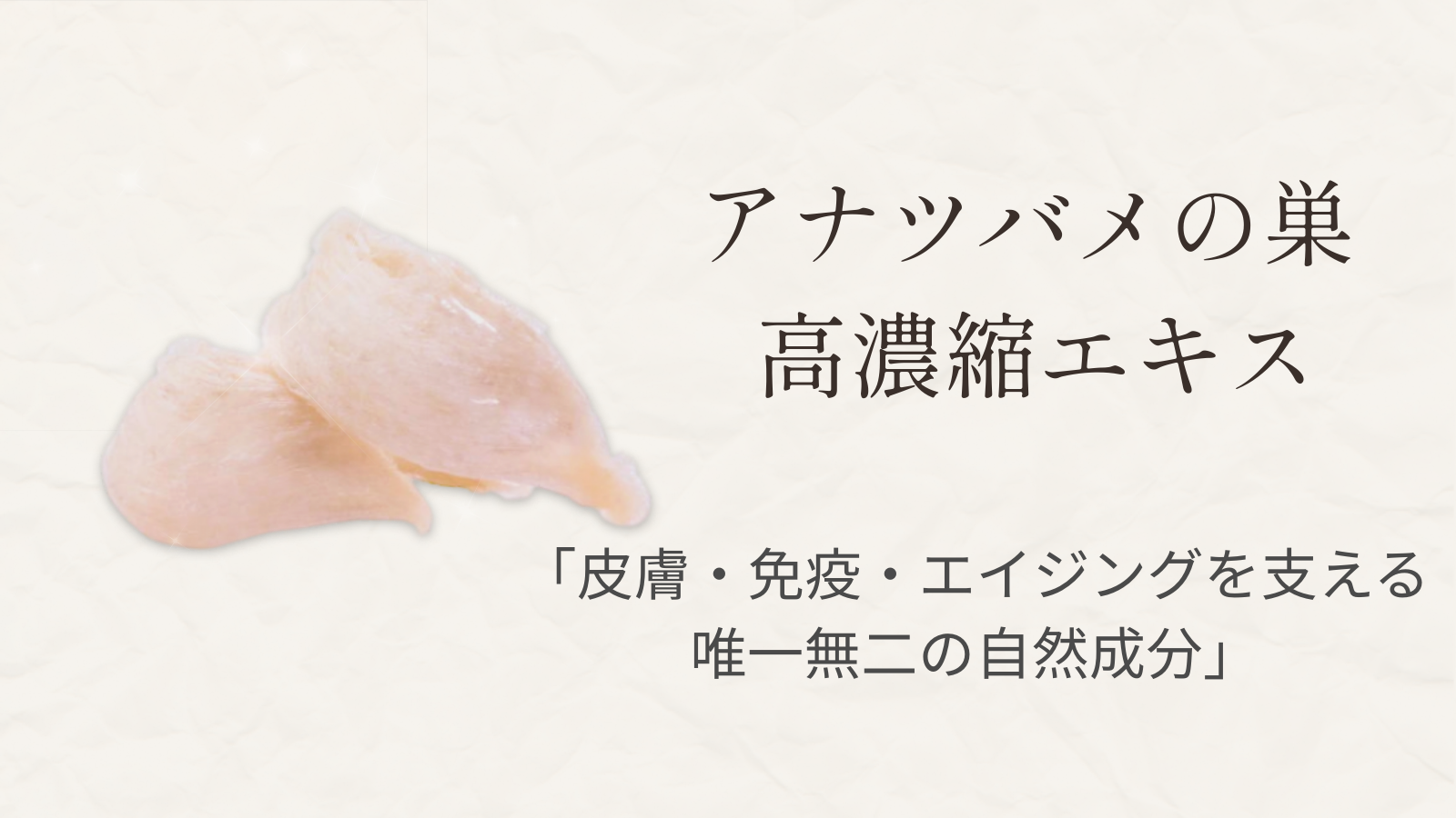 アナツバメの巣（シアル酸）と糖鎖脂質による犬の皮膚・免疫・エイジングケアを表す説明画像