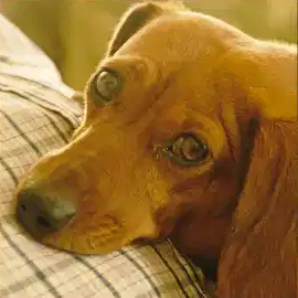 インスタグラム