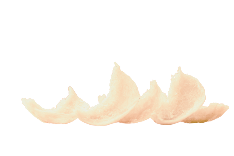 アナツバメの巣